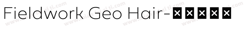Fieldwork Geo Hair字体转换